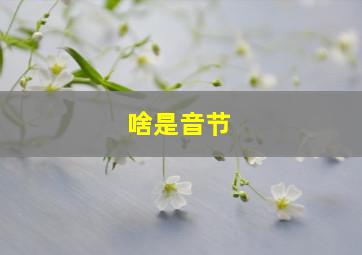 啥是音节