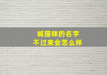 喊猫咪的名字不过来会怎么样