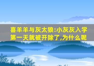 喜羊羊与灰太狼:小灰灰入学第一天就被开除了,为什么呢