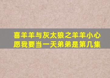 喜羊羊与灰太狼之羊羊小心愿我要当一天弟弟是第几集