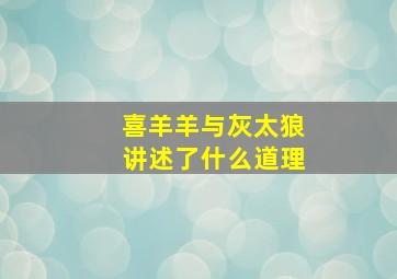 喜羊羊与灰太狼讲述了什么道理