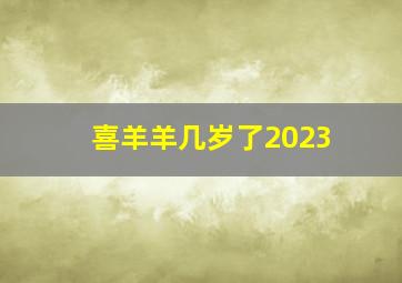 喜羊羊几岁了2023