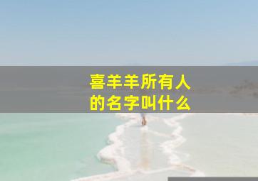 喜羊羊所有人的名字叫什么