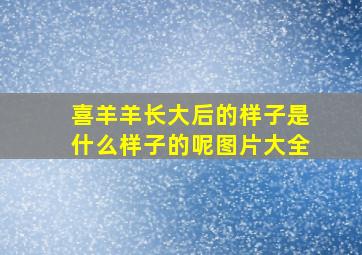 喜羊羊长大后的样子是什么样子的呢图片大全