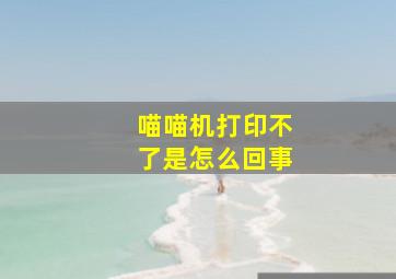 喵喵机打印不了是怎么回事