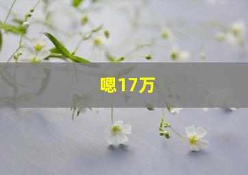 嗯17万