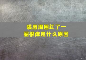 嘴唇周围红了一圈很痒是什么原因