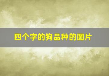 四个字的狗品种的图片