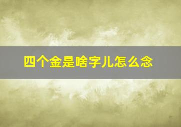 四个金是啥字儿怎么念