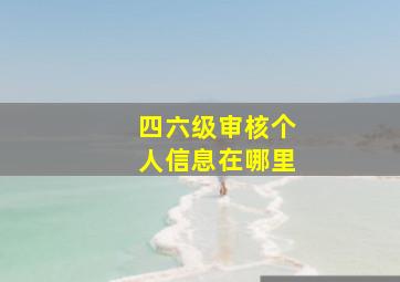 四六级审核个人信息在哪里