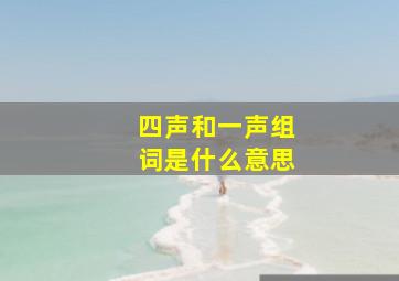 四声和一声组词是什么意思