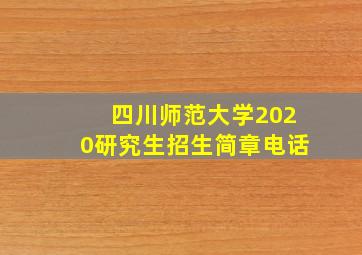 四川师范大学2020研究生招生简章电话