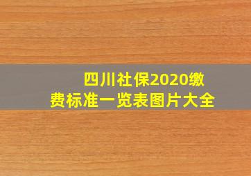 四川社保2020缴费标准一览表图片大全