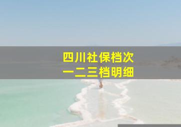 四川社保档次一二三档明细