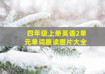 四年级上册英语2单元单词跟读图片大全