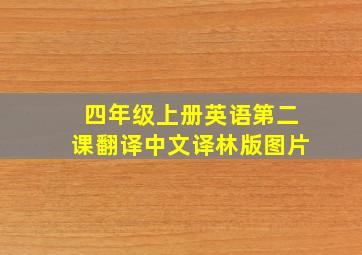 四年级上册英语第二课翻译中文译林版图片