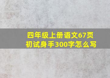 四年级上册语文67页初试身手300字怎么写