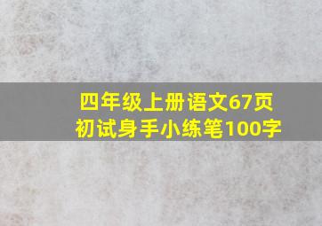 四年级上册语文67页初试身手小练笔100字