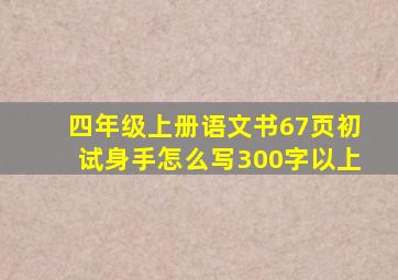 四年级上册语文书67页初试身手怎么写300字以上