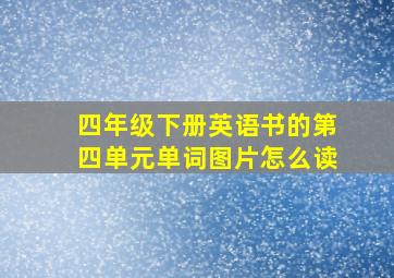 四年级下册英语书的第四单元单词图片怎么读