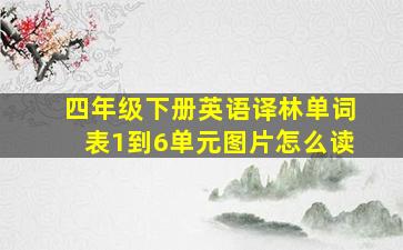 四年级下册英语译林单词表1到6单元图片怎么读