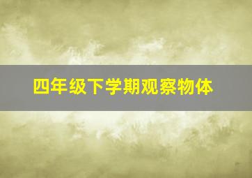 四年级下学期观察物体