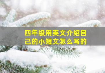 四年级用英文介绍自己的小短文怎么写的