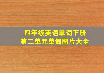 四年级英语单词下册第二单元单词图片大全