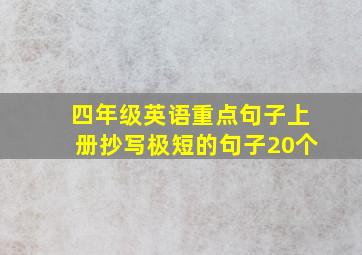 四年级英语重点句子上册抄写极短的句子20个