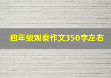 四年级观察作文350字左右