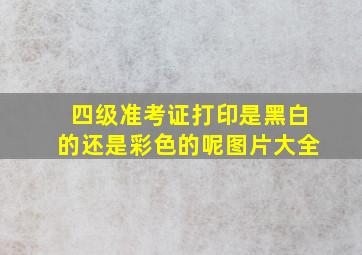 四级准考证打印是黑白的还是彩色的呢图片大全