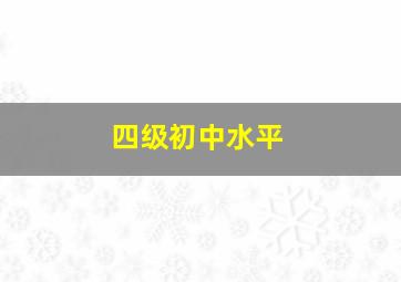 四级初中水平