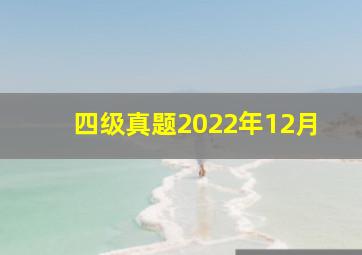 四级真题2022年12月