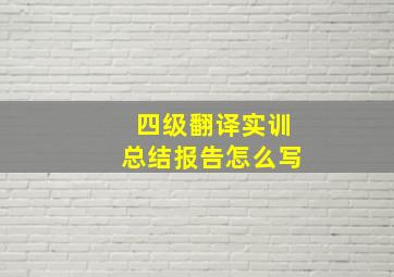 四级翻译实训总结报告怎么写