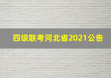 四级联考河北省2021公告