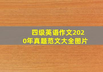 四级英语作文2020年真题范文大全图片