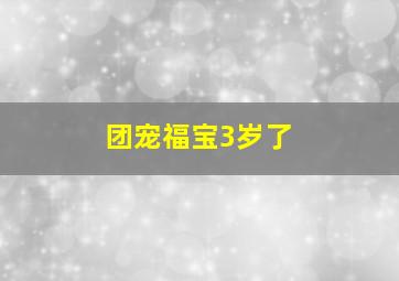 团宠福宝3岁了