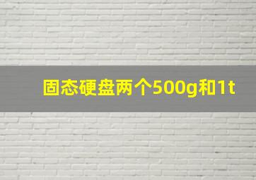 固态硬盘两个500g和1t