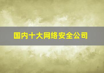 国内十大网络安全公司