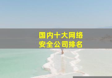 国内十大网络安全公司排名