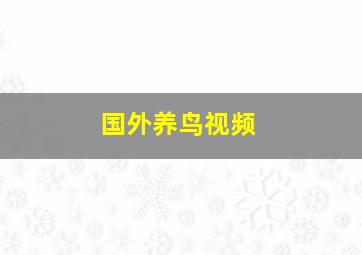 国外养鸟视频