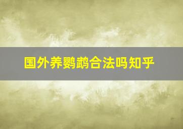 国外养鹦鹉合法吗知乎