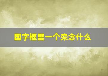 国字框里一个栾念什么