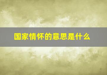 国家情怀的意思是什么