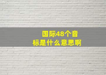 国际48个音标是什么意思啊