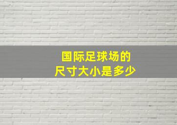 国际足球场的尺寸大小是多少