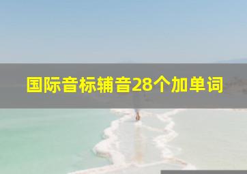 国际音标辅音28个加单词