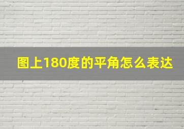 图上180度的平角怎么表达