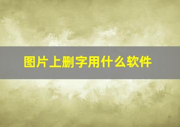 图片上删字用什么软件