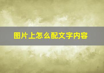 图片上怎么配文字内容